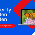 How to Create Your Own Butterfly Garden Garden