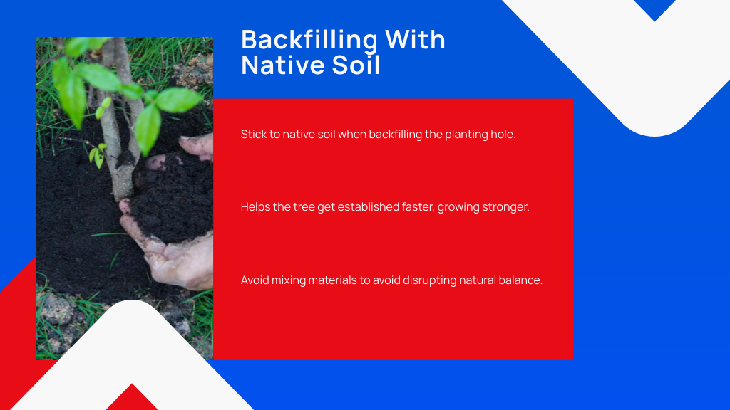 Backfilling With Native Soil