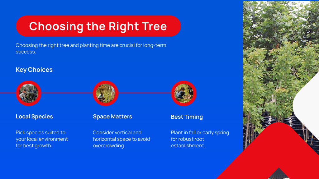 Choosing the Right Tree