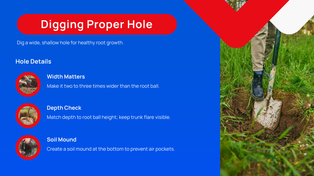 Digging Proper Hole