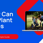 10 Essential Steps We Follow to Plant Trees Successfully