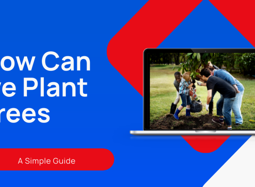 How Can we Plant Trees