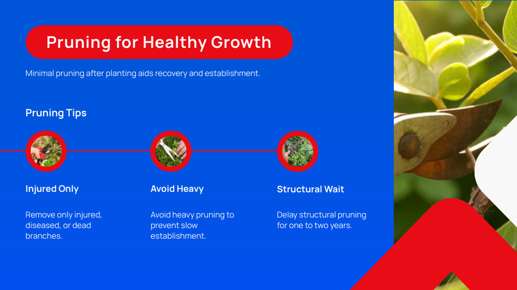 Pruning for Healthy Growth