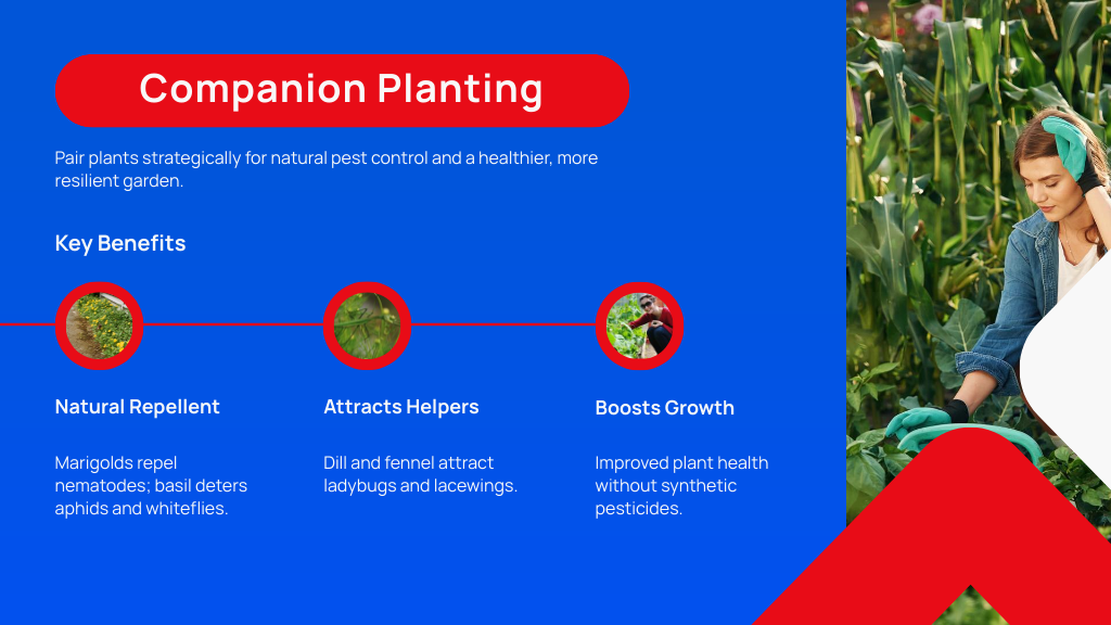 Companion Planting