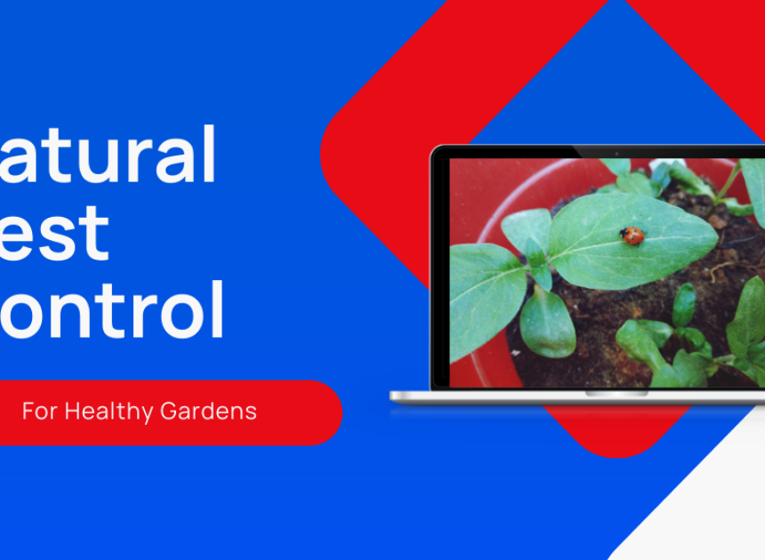 Natural Pest Control