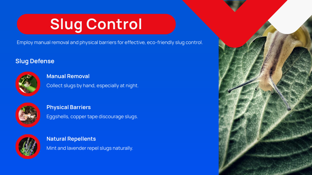 Slug Control