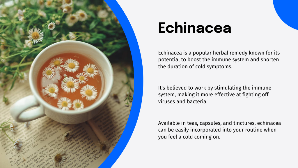 Echinacea