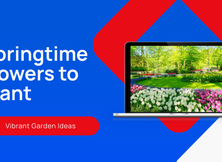 Springtime Flowers to Plant
