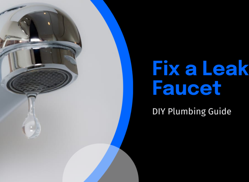 Fix a Leaky Faucet