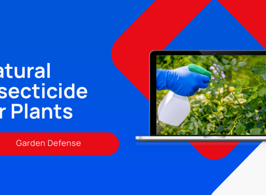 Natural Insecticide for Plants