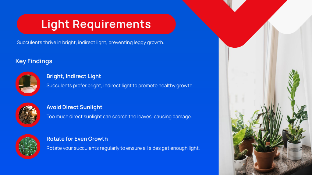 Light Requirements