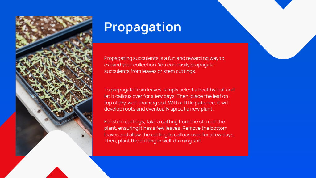 Propagation