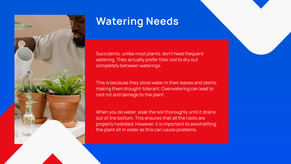 Watering Needs