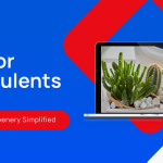 7 Indoor Succulents for Low-Light Conditions