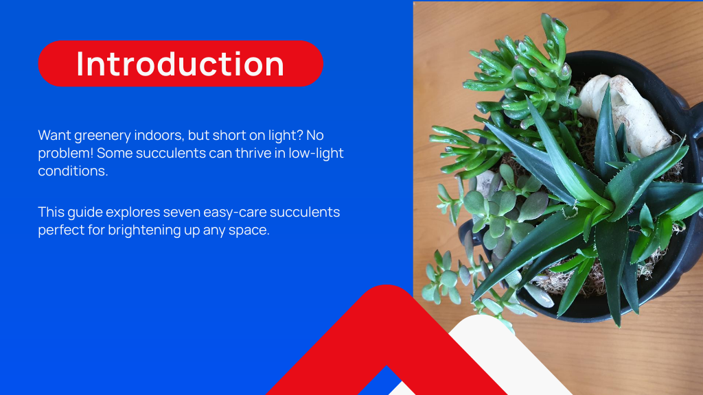 Introduction
