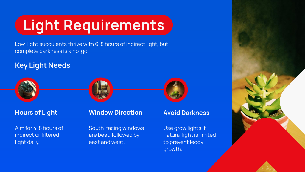 Light Requirements