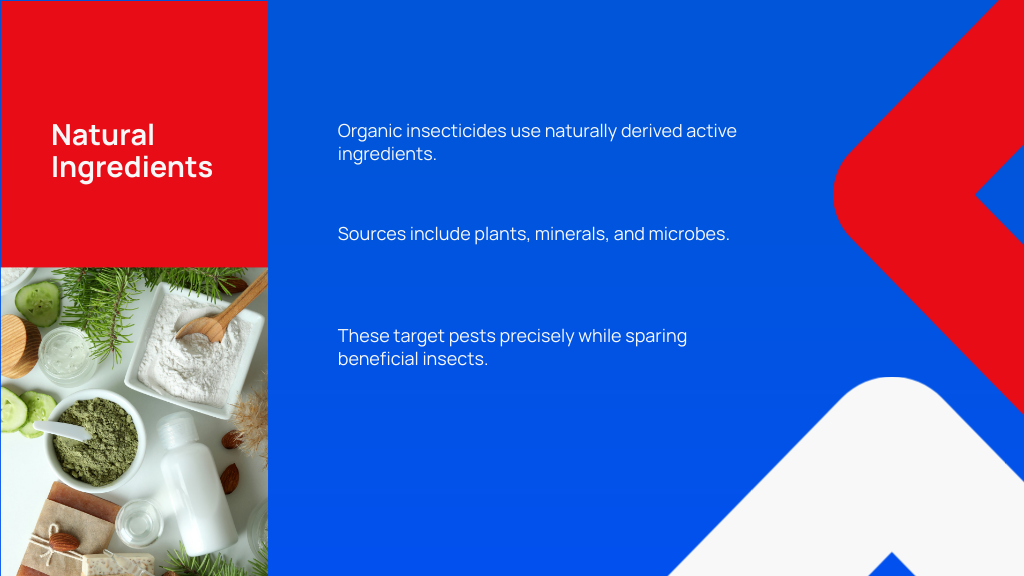 Natural Ingredients