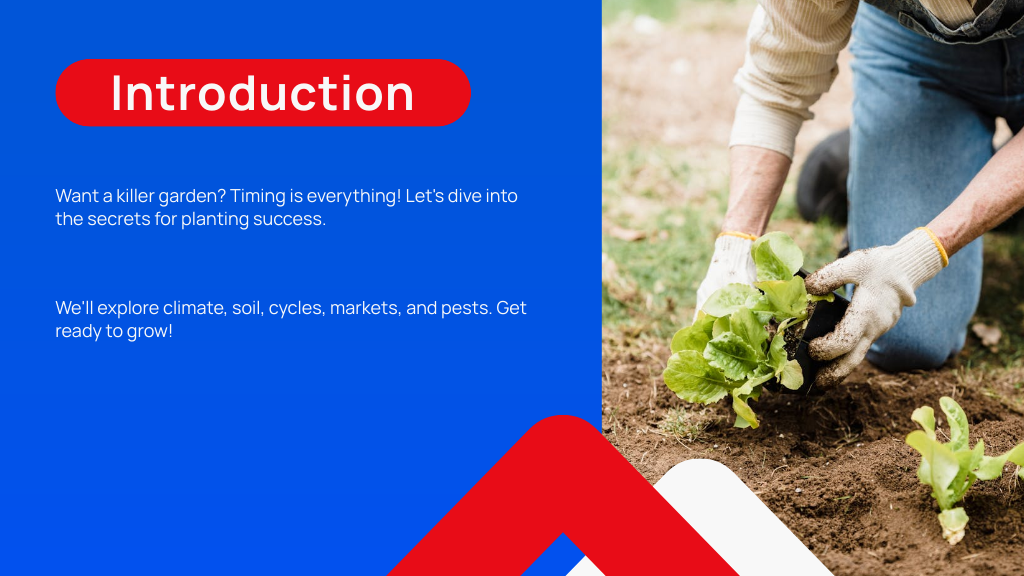 Introduction