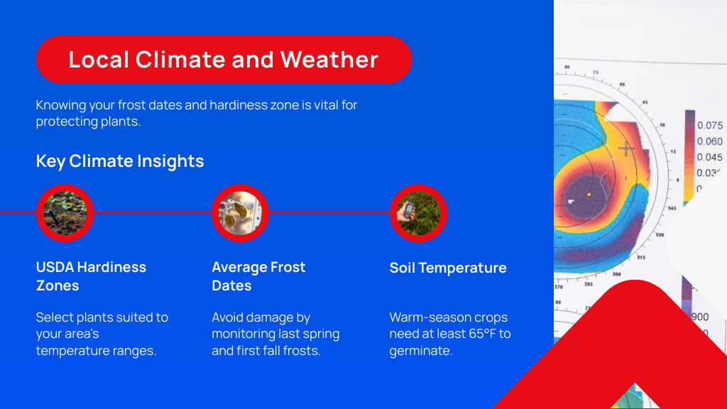 Local Climate and Weather