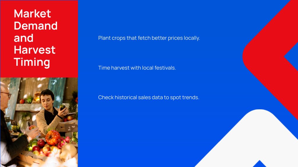Market Demand and Harvest Timing