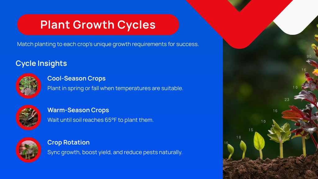Plant Growth Cycles