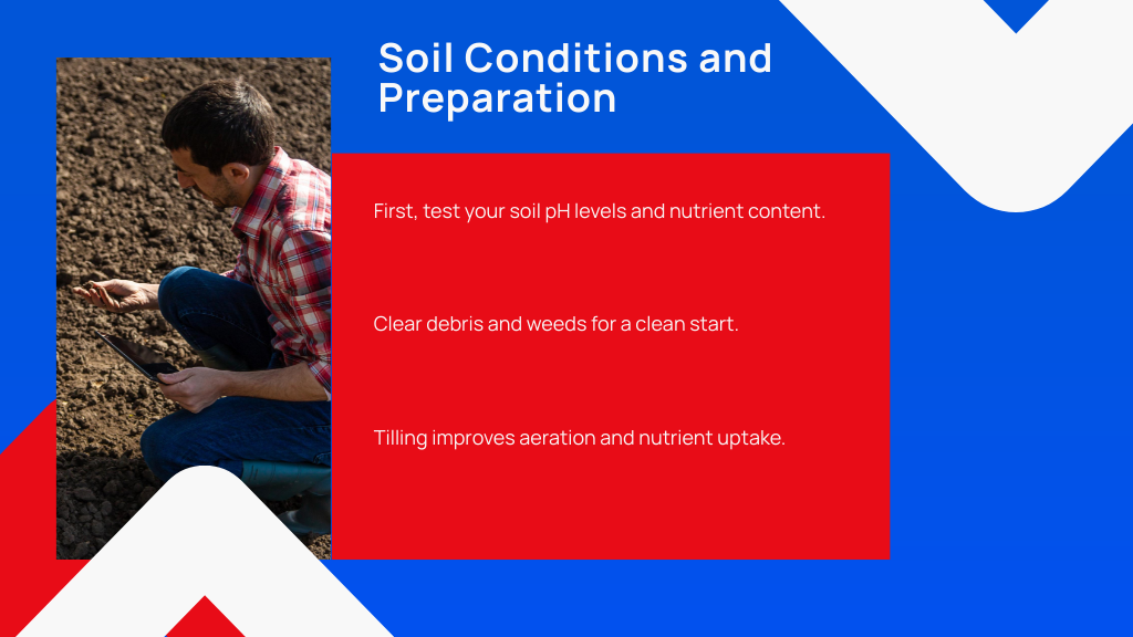 Soil Conditions and Preparation