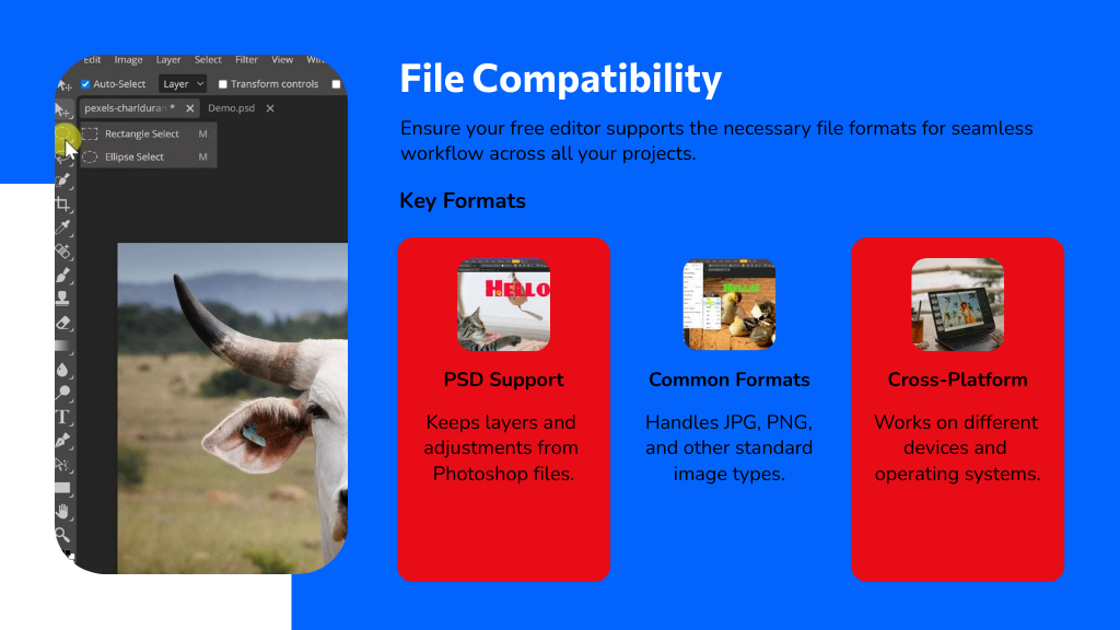 File Compatibility