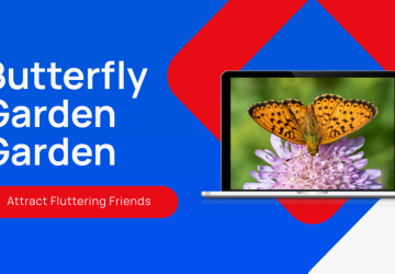 How to Create Your Own Butterfly Garden Garden