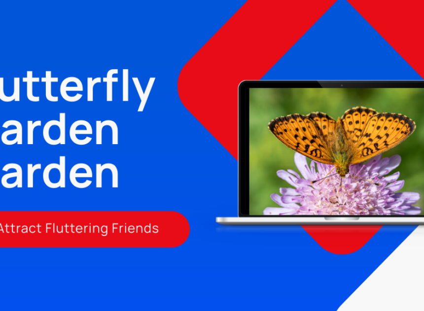 Butterfly Garden Garden
