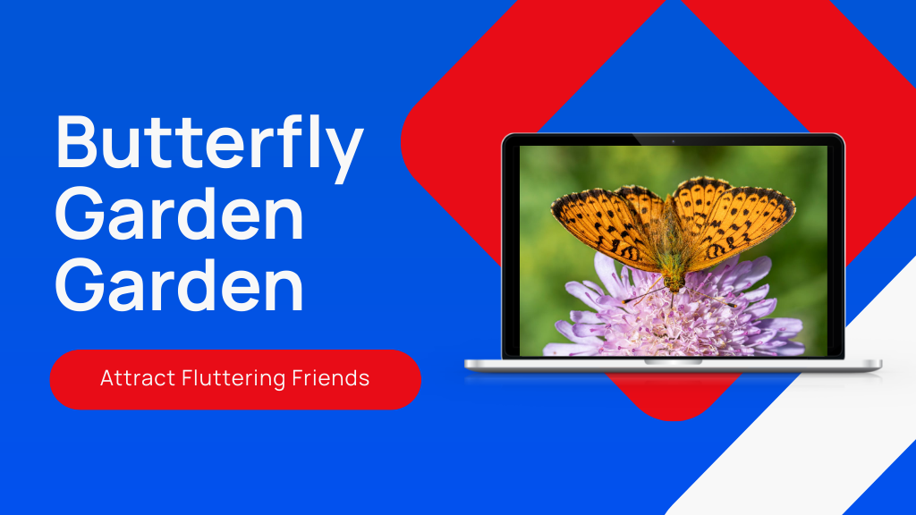 How to Create Your Own Butterfly Garden Garden