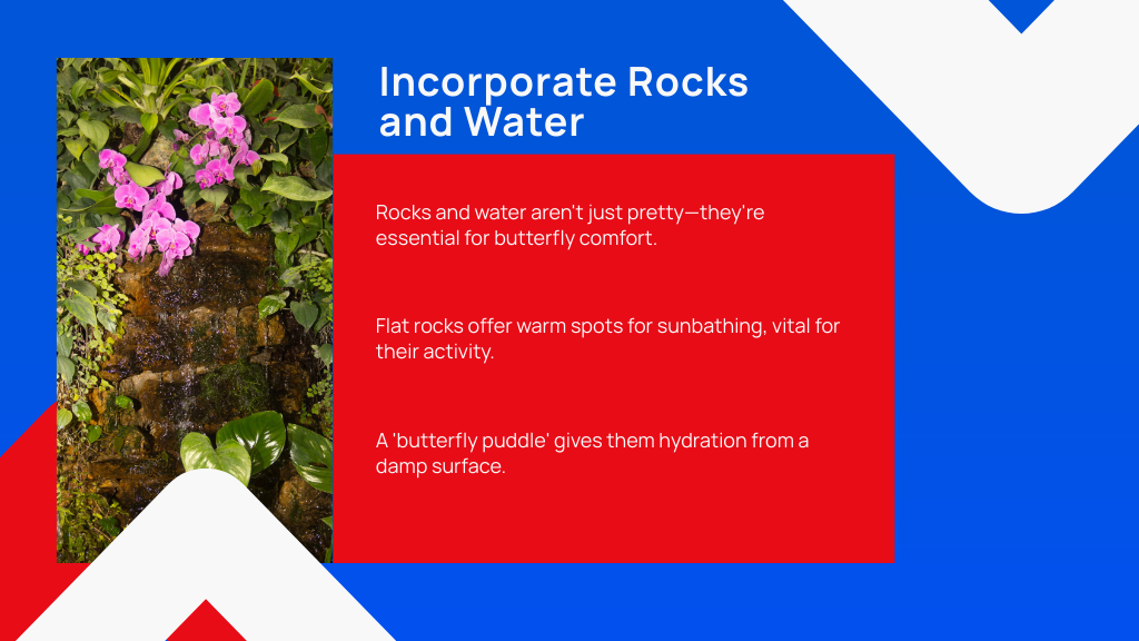 Incorporate Rocks and Water
