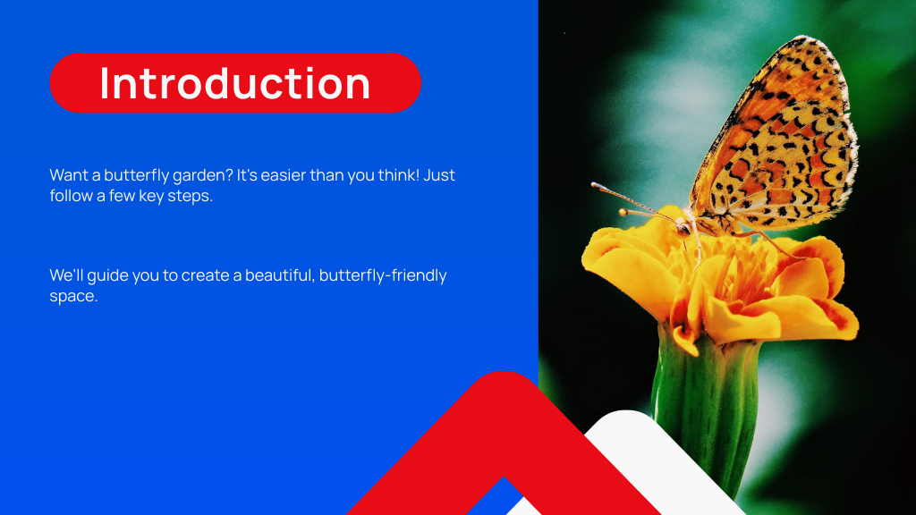 Introduction