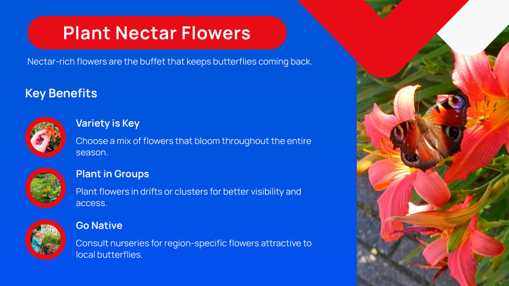 Plant Nectar Flowers