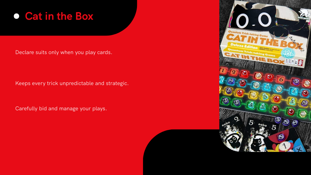 Cat in the Box