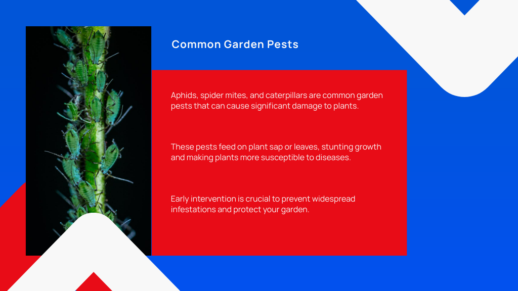 Common Garden Pests