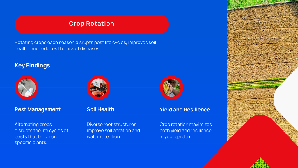 Crop Rotation