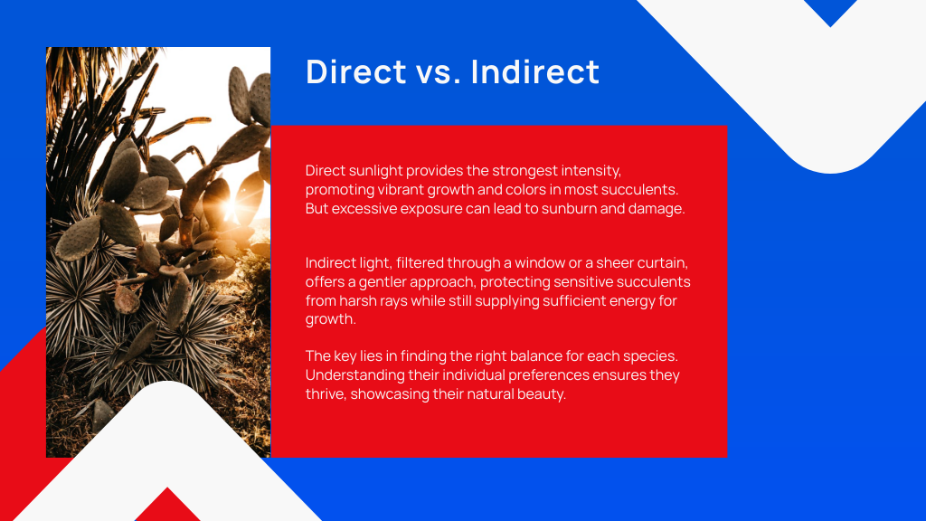 Direct vs. Indirect