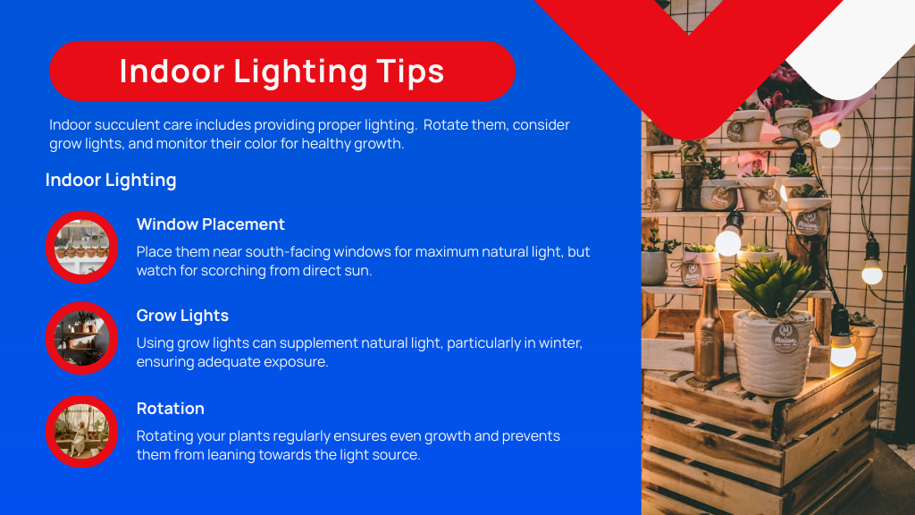 Indoor Lighting Tips