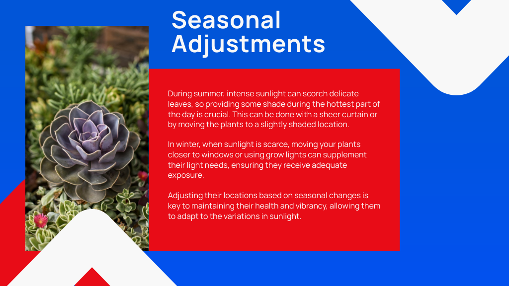 Seasonal Adjustments