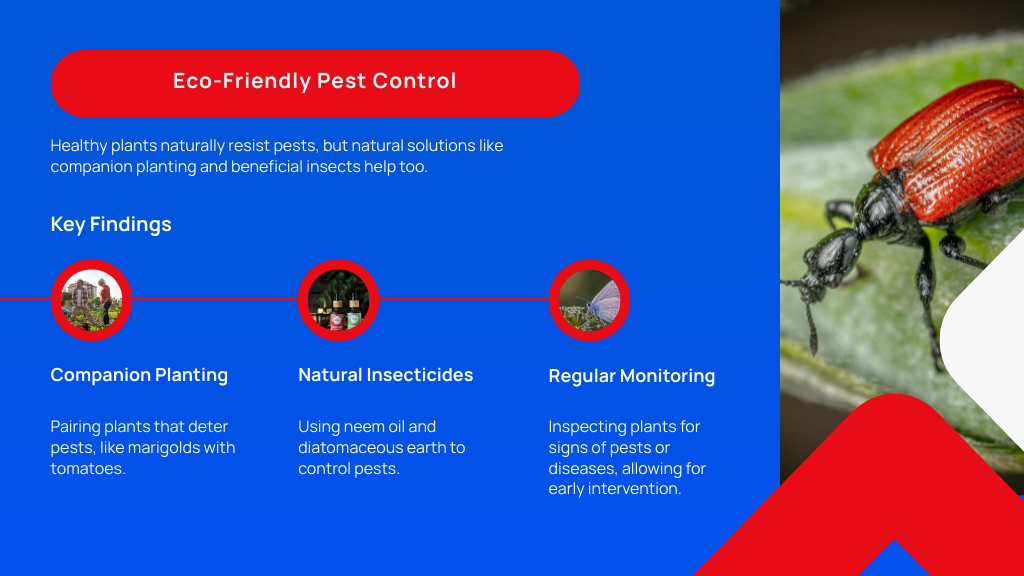 Eco-Friendly Pest Control