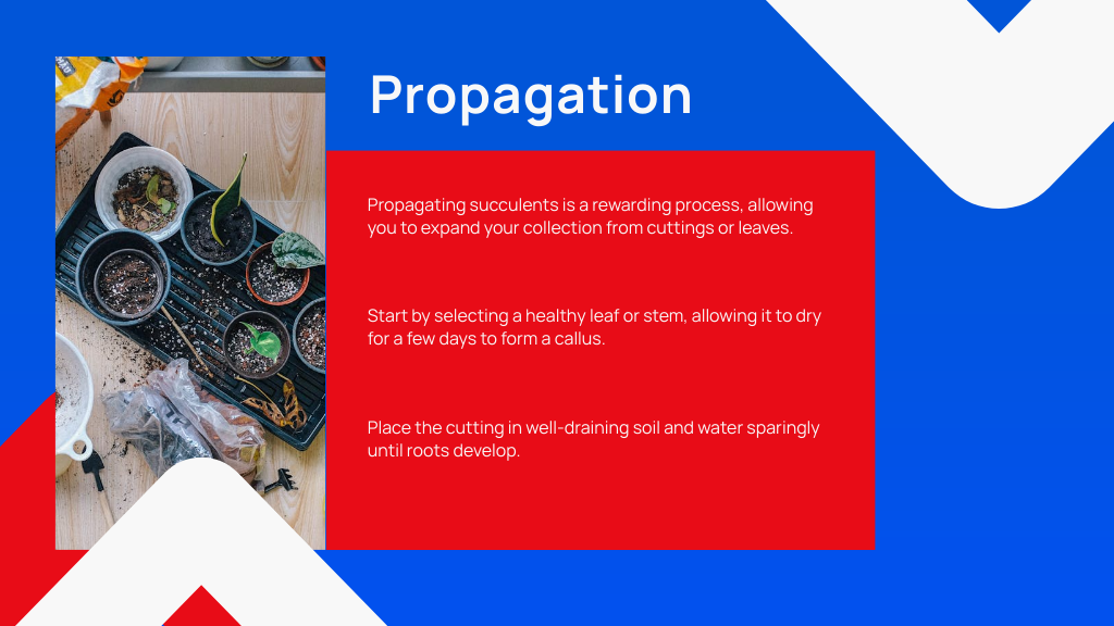 Propagation