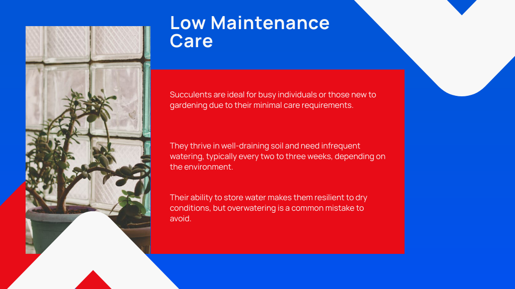 Low Maintenance Care